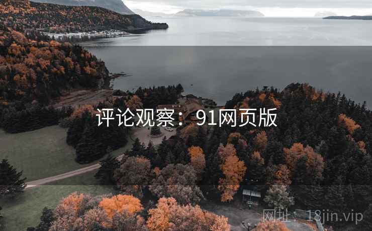 评论观察：91网页版