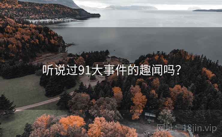 听说过91大事件的趣闻吗？  第2张