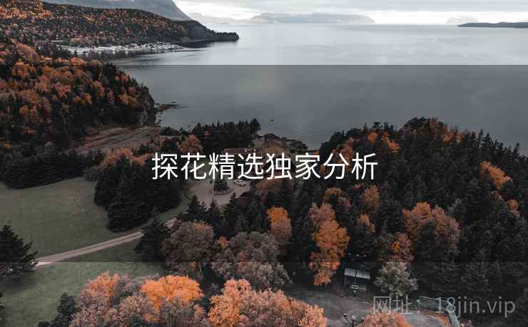 探花精选独家分析  第2张