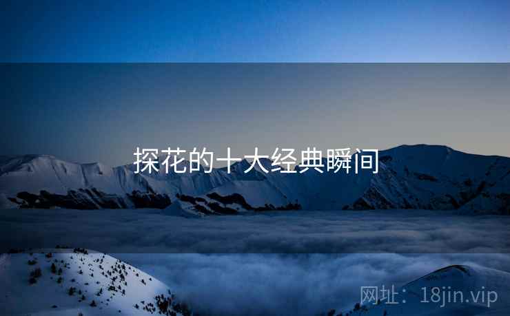 探花的十大经典瞬间