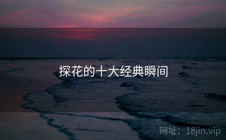 探花的十大经典瞬间