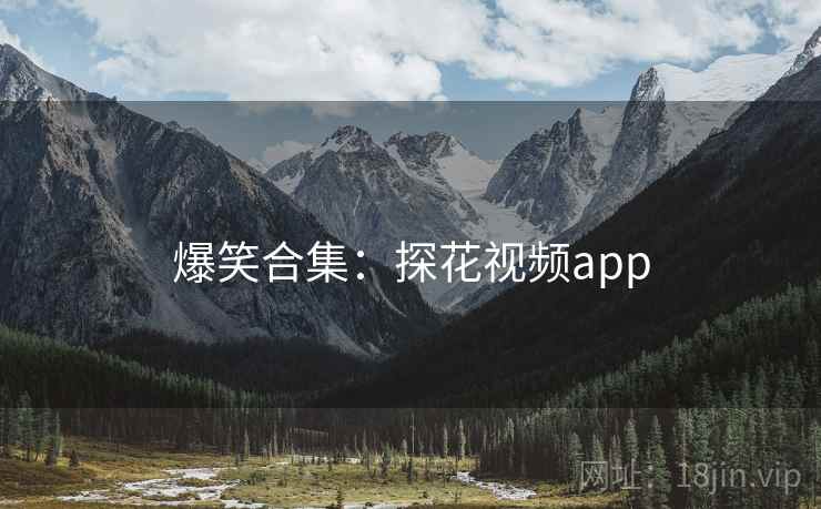 爆笑合集：探花视频app