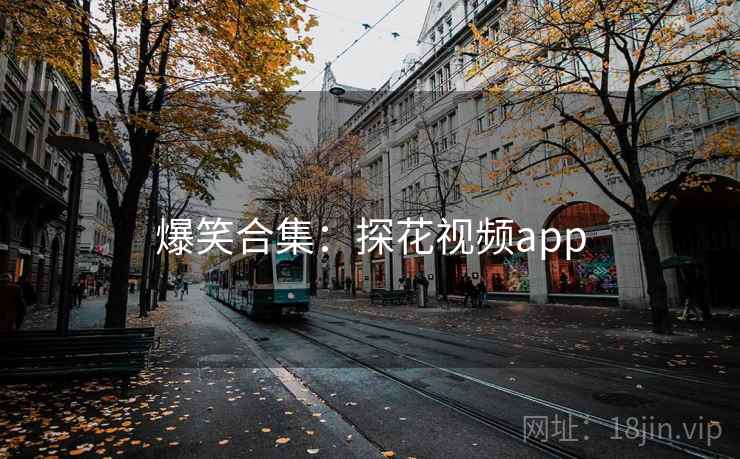 爆笑合集：探花视频app