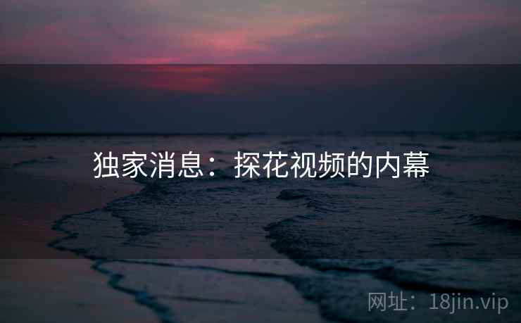 独家消息：探花视频的内幕