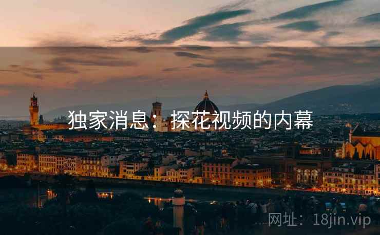 独家消息：探花视频的内幕