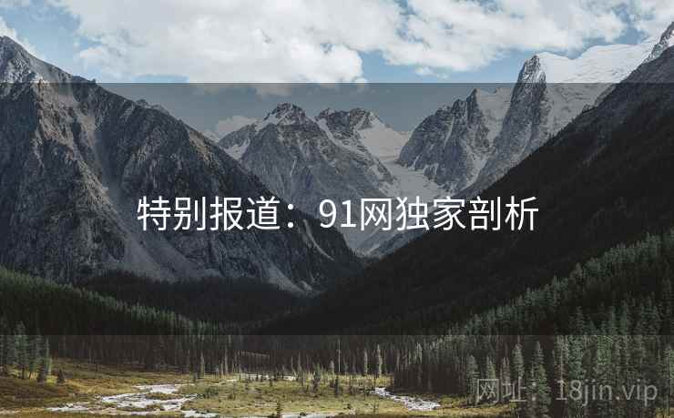 特别报道：91网独家剖析