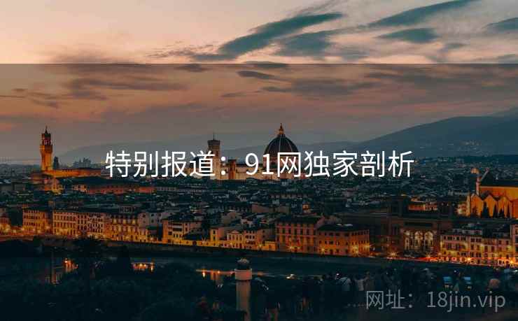 特别报道：91网独家剖析