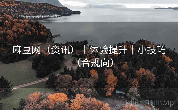 麻豆网(资讯)|体验提升|小技巧(合规向)