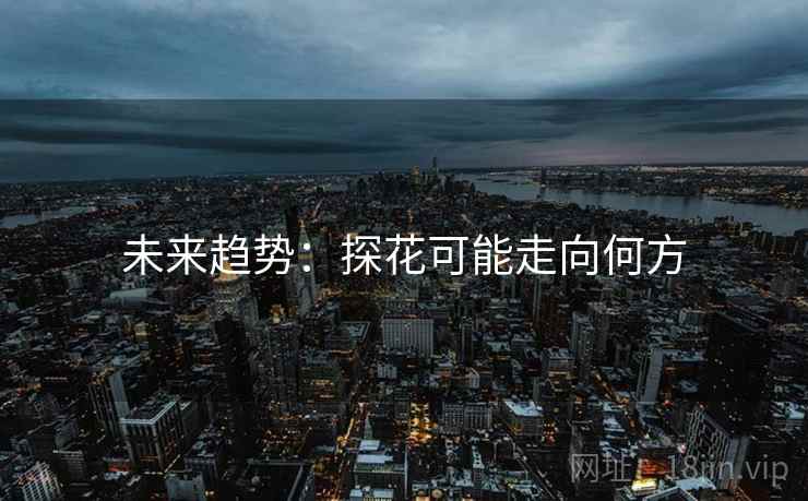 未来趋势:探花可能走向何方