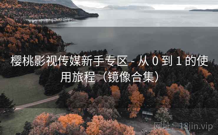 樱桃影视传媒新手专区 - 从 0 到 1 的使用旅程(镜像合集)